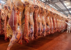 Frigoríficos advierten que el costo de las ART empujan a la informalidad y agravan la faena clandestina
