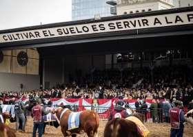 Rebaja de retenciones una decisión que puede poner al campo en la vía del crecimiento