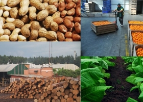 En el semáforo de las economías regionales, solo hay verde esperanza para la ganadería. El resto de las actividades, en alerta o crisis