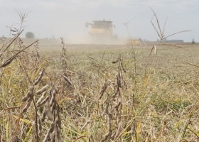 Por la baja de retenciones, la Bolsa de Buenos Aires estima que a corto plazo comenzaría a crecer la producción de granos en Argentina
