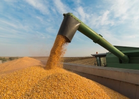 Maquinaria agrícola qué dicen los empresarios sobre la importación de equipos usados