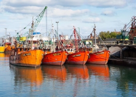 Sector en crisis aunque sin una definición, el Gobierno analiza una baja de las retenciones a la pesca
