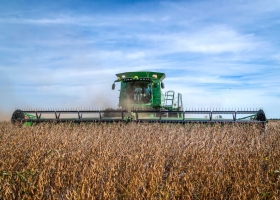 Informe el 65% del financiamiento de la campaña agrícola 2024/2025 se tomó en dólares, según una plataforma