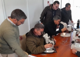 Santa Fe: Senasa e INTA actualizaron la clasificación de garrapata bovina con un taller en Rafaela