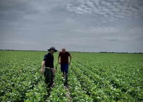 Momento bisagra las cuatro claves que definen el éxito en las empresas agropecuarias