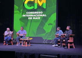 El maíz duplicó su rendimiento en 30 años gracias a la genética y la innovación