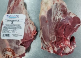 Polémica escala una disputa judicial entre una entidad de la Patagonia y el Senasa por una histórica medida