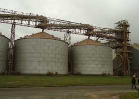 En julio la actividad de la industria aceitera argentina cayó un 9%: Acá te explicamos la causa de ese fenómeno