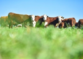 La salud del campo: los ganadores y perdedores en las economías regionales