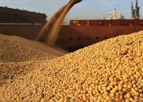 Geopolítica al palo. Volvieron a quedar viejas las estimaciones oficiales de exportación de soja argentina