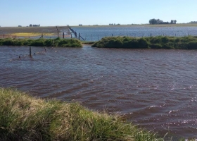 Basta de escuchas enojo de un dirigente en un partido bonaerense inundado con el secretario de Agricultura