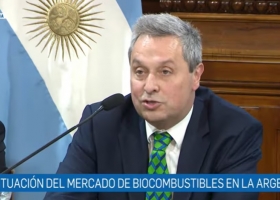 En quebranto empresarios de biocombustibles hicieron un duro diagnóstico en el Senado