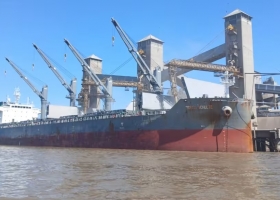 El campo reclama previsibilidad crítica a la baja temporal de retenciones hasta octubre