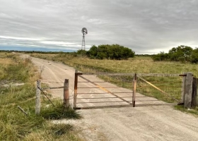 Alquileres rurales las dudas que se generaron en el mercado por una medida del Gobierno y el consejo de los especialistas