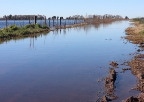 Emergencia agropecuaria en Buenos Aires: el Gobierno oficializó la medida por inundaciones