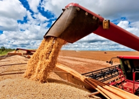 Exportaciones agroindustriales argentinas crecieron 9% en volumen y superaron los USD 33.000 millones en 8 meses