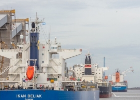 El trigo argentino se sigue “bajando los pantalones” para poder ser competitivo en destinos africanos y asiáticos