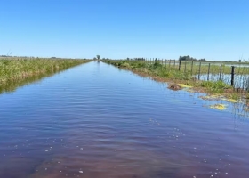 Es una vergüenza. Un municipio propone que los productores arreglen los caminos con su plata