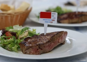 Gestión crucial la Argentina pidió a la Unión Europea ser considerada de riesgo bajo en deforestación