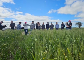Australia aprendizajes en la tierra del raigrás y los desafíos que vienen para la agricultura argentina