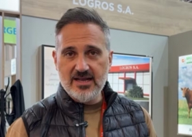 Decisión estratégica un exportador argentino explica cómo es vender carne a Estados Unidos y se entusiasma con un anuncio de Trump