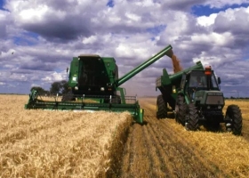 Trigo 2025/26 la cosecha avanza en el norte con rindes récord y alerta por heladas