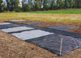 Lo que mata es el calor. En INTA evalúan el uso de “parches plásticos” que reducen hasta 50% la aparición de malezas