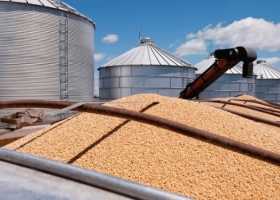 Gesto diplomático China vuelve a comprar soja a EE.UU. en medio de la cumbre entre Xi Jinping y Donald Trump