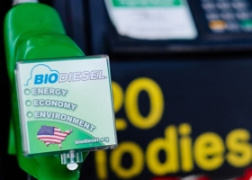 Fuerte suba de los precios de la soja en EE.UU. ante la expectativa de una medida de Trump que impulsará el consumo interno de biodiésel