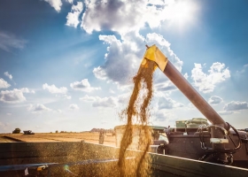 Récord y más dólares: con una supercosecha, el trigo podría aportar al país US$1130 millones extra