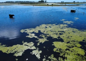 No hay un plan trazado contrapunto entre el gobierno provincial y el nacional por las tareas ante las inundaciones en Buenos Aires