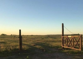 Córdoba sienta precedentes en un sector dominado por los arrendamientos y bonificará impositivamente a los productores que trabajen en campo propio