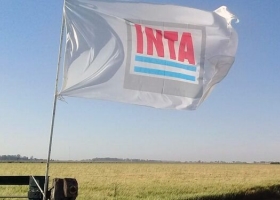El INTA se reactiva y retoma el plan de ajuste: Tras meses de inactividad, el Consejo Directivo volvió a reunirse y echó mano al proyecto de retiros voluntarios y venta de tierras frustrado en el Congreso