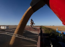 Impacto la soja alcanzó en el mercado internacional su valor más alto en 17 meses