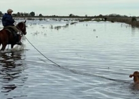 Denuncian que es parcial la reanudación de las obras de dragado en la cuenca del Salado