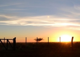 Mejoran las expectativas de los empresarios agropecuarios argentinos según una encuesta realizada por CREA