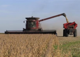 En pausa poca actividad en el mercado de granos a la espera del decreto de retenciones de Milei