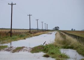 El Gobierno declara la emergencia agropecuaria en Buenos Aires por inundaciones: qué zonas están alcanzadas