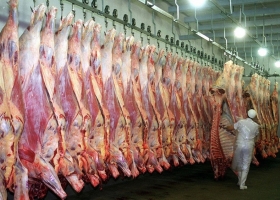 La faena cae 13% en noviembre y marca su nivel más bajo en cuatro años: se consolida el cambio de ciclo ganadero