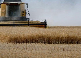 Récord histórico el trigo argentino alcanzaría 27,7 Mt y marca la mayor producción en 25 campañas