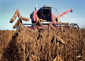  Momento clave lo que viene para los precios internacionales de los granos