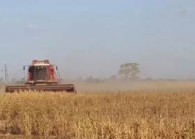 Comercialización agrícola. Falta ponerle precio al 25% de la cosecha argentina de soja 2024/25