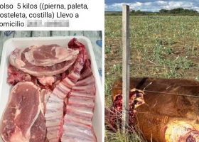 Polémica en San Luis: productores denuncian ataques a los campos y “delivery de carne robada”