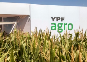 Estaba el saco roto por qué YPF quiere un socio para su negocio de agro