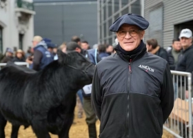 No es un club exclusivo la principal raza bovina del país acelera con un ambicioso plan de expansión