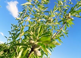 Cambiar el paradigma un novedoso proyecto busca transformar una región productiva difícil y que no haya más frustración