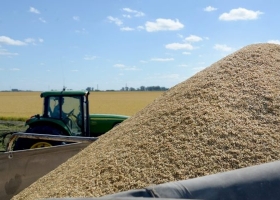 El agro explica uno de cada cinco pesos de la economía argentina y genera casi el 60% de las exportaciones