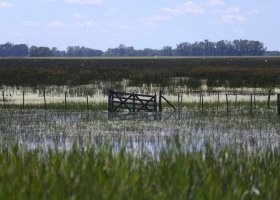 Inundaciones bonaerenses bajó el agua, pero se sembró apenas hasta el 40% del área y hay una menor actividad comercial en las ciudades