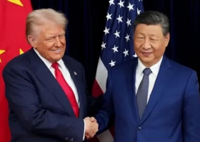 Perdió US$3,31 la soja en el mercado internacional inició la semana en terreno negativo