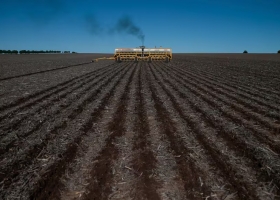 Con precios sostenidos, la soja recupera superficie de cultivo